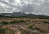 Non-developable land for sale on España, Abarán, ref: TR239643 photo