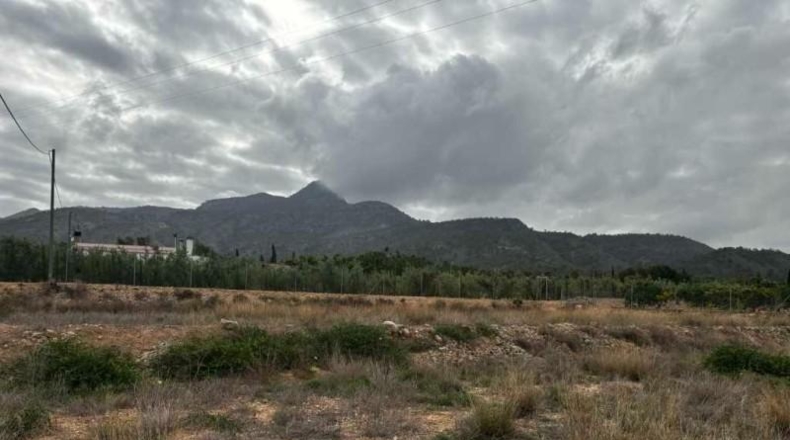 Murcia - Abarán - 4338m2
