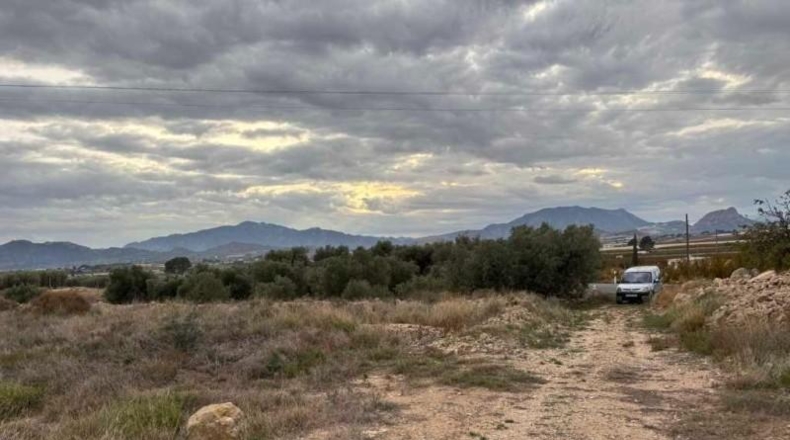 Murcia - Abarán - 4338m2
