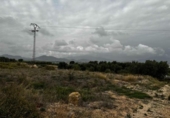 Non-developable land for sale on España, Abarán, ref: TR239643 photo