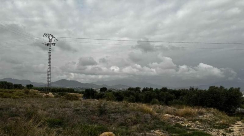 Murcia - Abarán - 4338m2