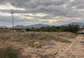Non-developable land for sale on España, Abarán, ref: TR239643 photo