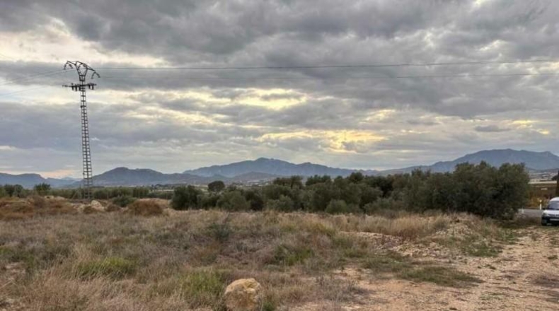 Murcia - Abarán - 4338m2