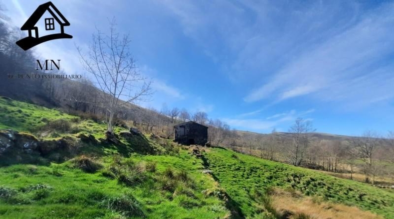 Cantabria - Miera - 12333m2
