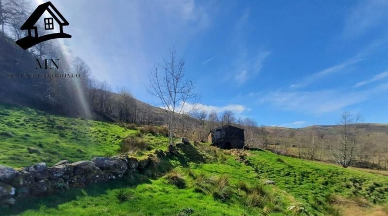 Cantabria - Miera - 12333m2