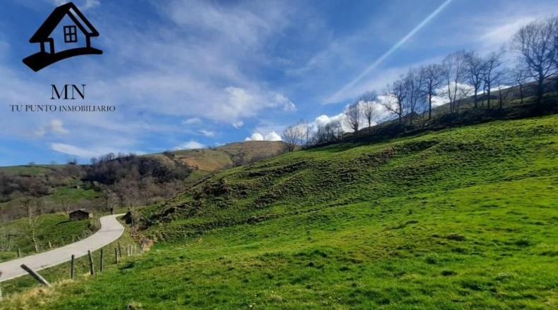 Cantabria - Miera - 12333m2
