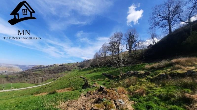 Cantabria - Miera - 12333m2