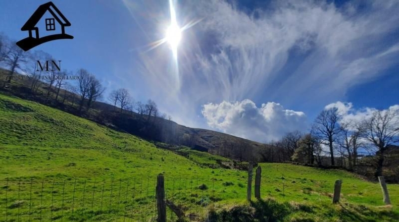 Cantabria - Miera - 12333m2