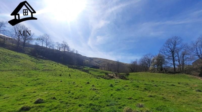 Cantabria - Miera - 12333m2