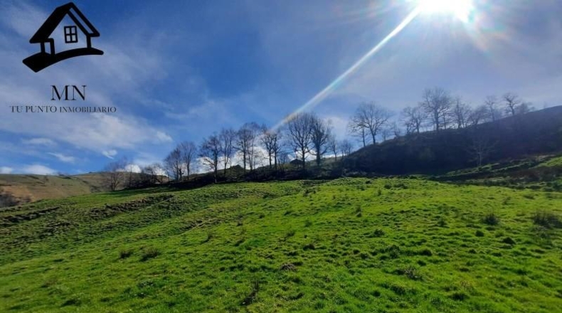 Cantabria - Miera - 12333m2