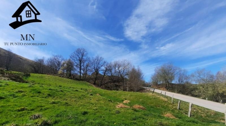 Cantabria - Miera - 12333m2
