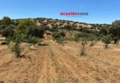 Xalet independent amb terreny en venda a la España, Fuente Obejuna, ref.: TR344594 foto