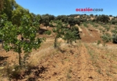 Xalet independent amb terreny en venda a la España, Fuente Obejuna, ref.: TR344594 foto