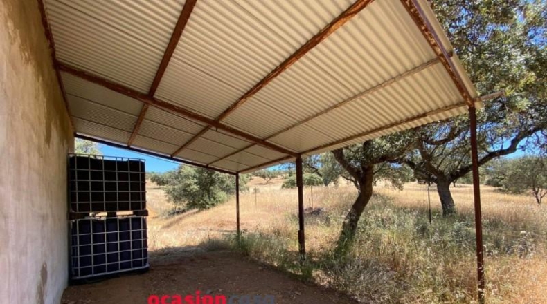 Córdoba - Fuente Obejuna - 43000m2
