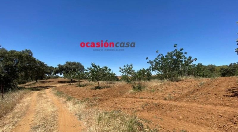 Córdoba - Fuente Obejuna - 43000m2
