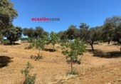 Xalet independent amb terreny en venda a la España, Fuente Obejuna, ref.: TR344594 foto
