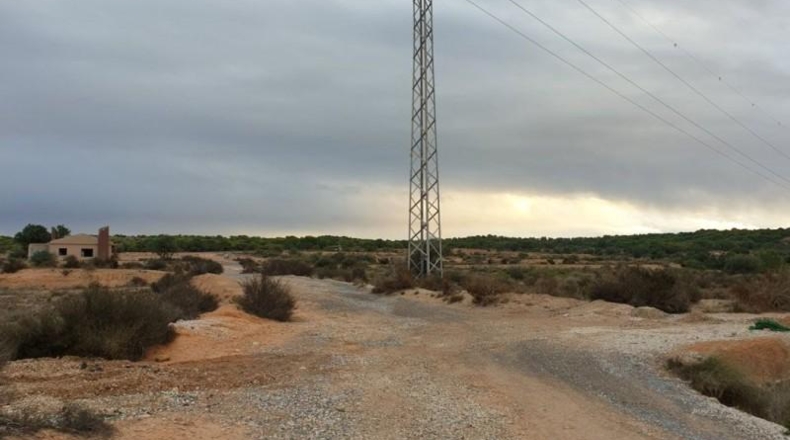 Alicante - Elche - 8600m2