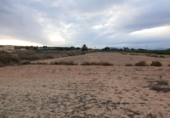 Terreny no urbanitzable en venda a la España, Elx, ref.: TR115707 foto