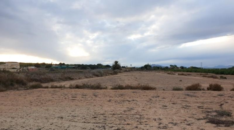 Alicante - Elche - 8600m2
