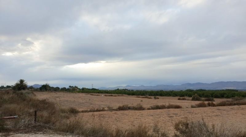 Alicante - Elche - 8600m2