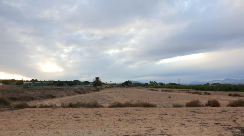 Alicante - Elche - 8600m2
