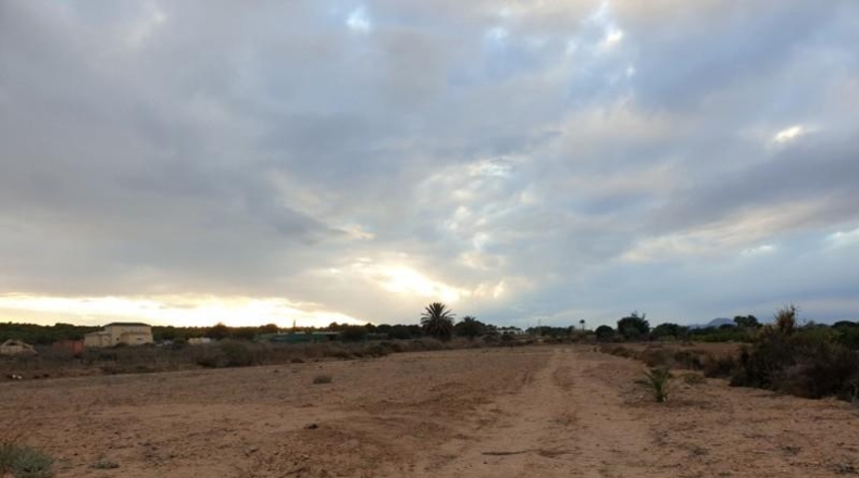 Alicante - Elche - 8600m2