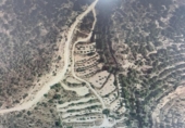 Non-developable land for sale on España, Aspe, ref: TR141703 photo