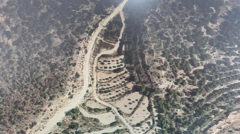 Alicante - Aspe - 12025m2