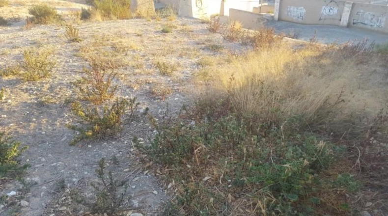 Alicante - Crevillente - 128m2