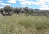 Terreny no urbanitzable en venda a la España, Moratalla, ref.: TR143944 foto