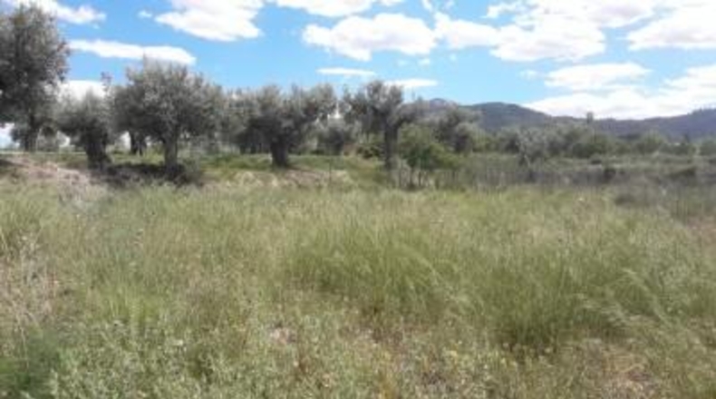 Murcia - Moratalla - 9422m2