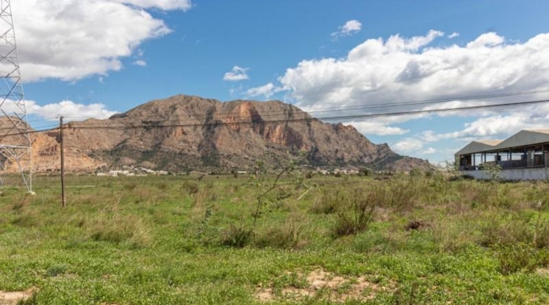 Alicante - Orihuela - 13950m2