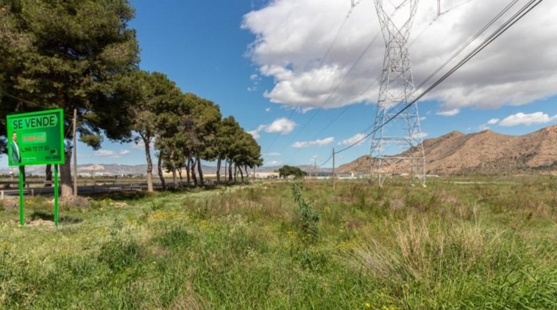 Alicante - Orihuela - 13950m2