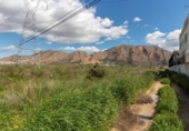 Non-developable land for sale on España, Orihuela, ref: TR121864 photo