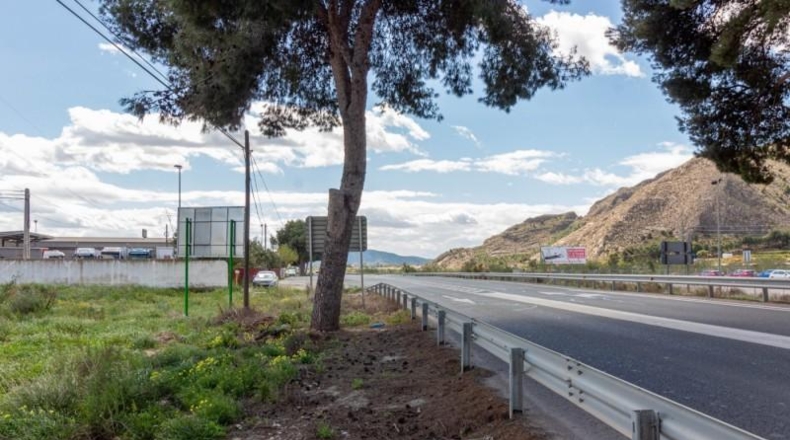 Alicante - Orihuela - 13950m2