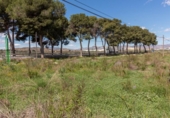 Non-developable land for sale on España, Orihuela, ref: TR121864 photo
