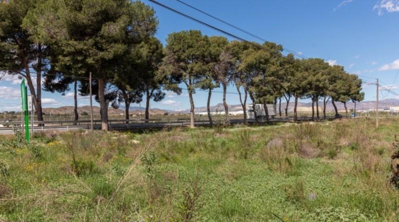 Alicante - Orihuela - 13950m2