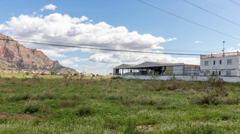 Alicante - Orihuela - 13950m2