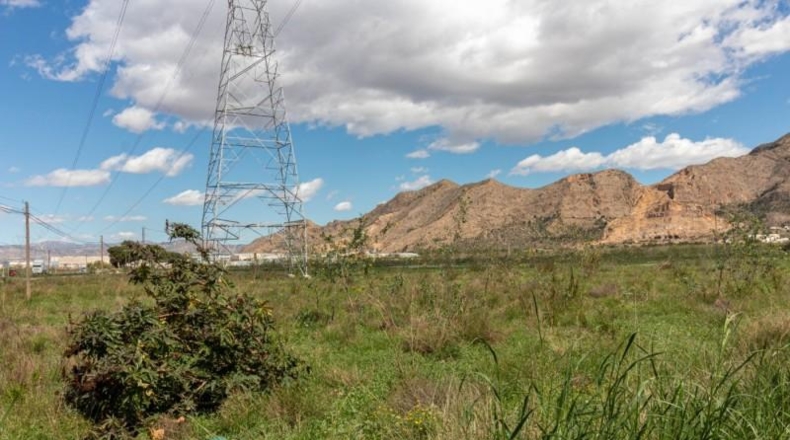 Alicante - Orihuela - 13950m2