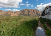 Non-developable land for sale on España, Orihuela, ref: TR121864 photo