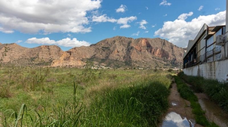 Alicante - Orihuela - 13950m2