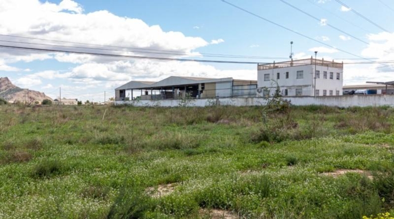 Alicante - Orihuela - 13950m2