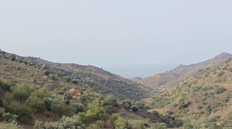 Málaga - Málaga - 20000m2