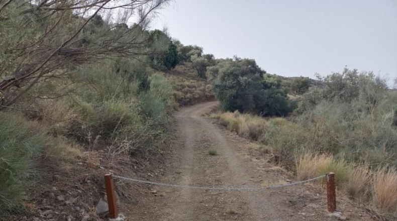 Málaga - Málaga - 20000m2