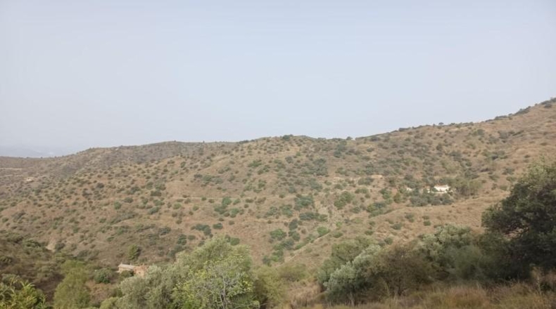 Málaga - Málaga - 20000m2