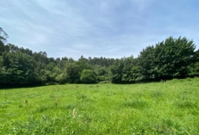 Ribadesella 1276&nbsp;m² 
