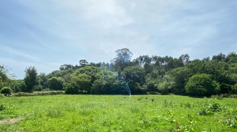Astúries - Ribadesella - 1275m2