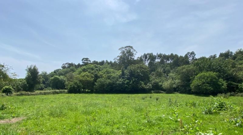 Astúries - Ribadesella - 1275m2