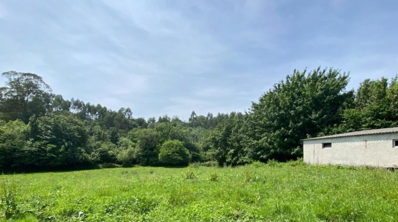 Asturias - Ribadesella - 1275m2