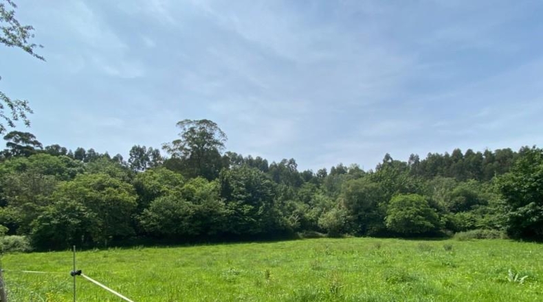 Asturias - Ribadesella - 1275m2